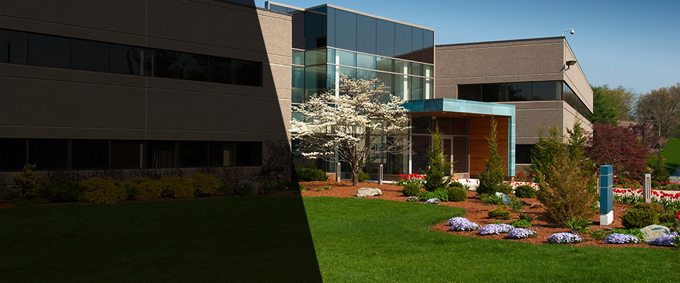 Holly Springs Landscapers